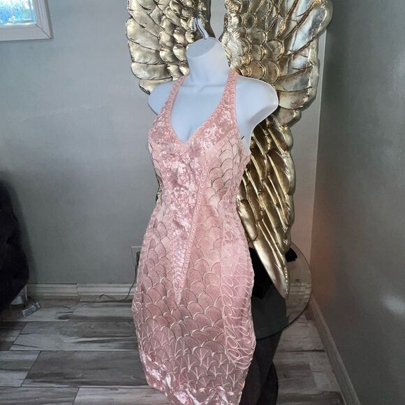 Gorgeous Sue Wong Nocturne Size 2 Pink Dress - Picture 6 of 16